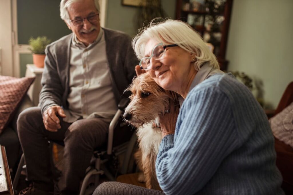 The Benefits of Animal Therapy for Seniors