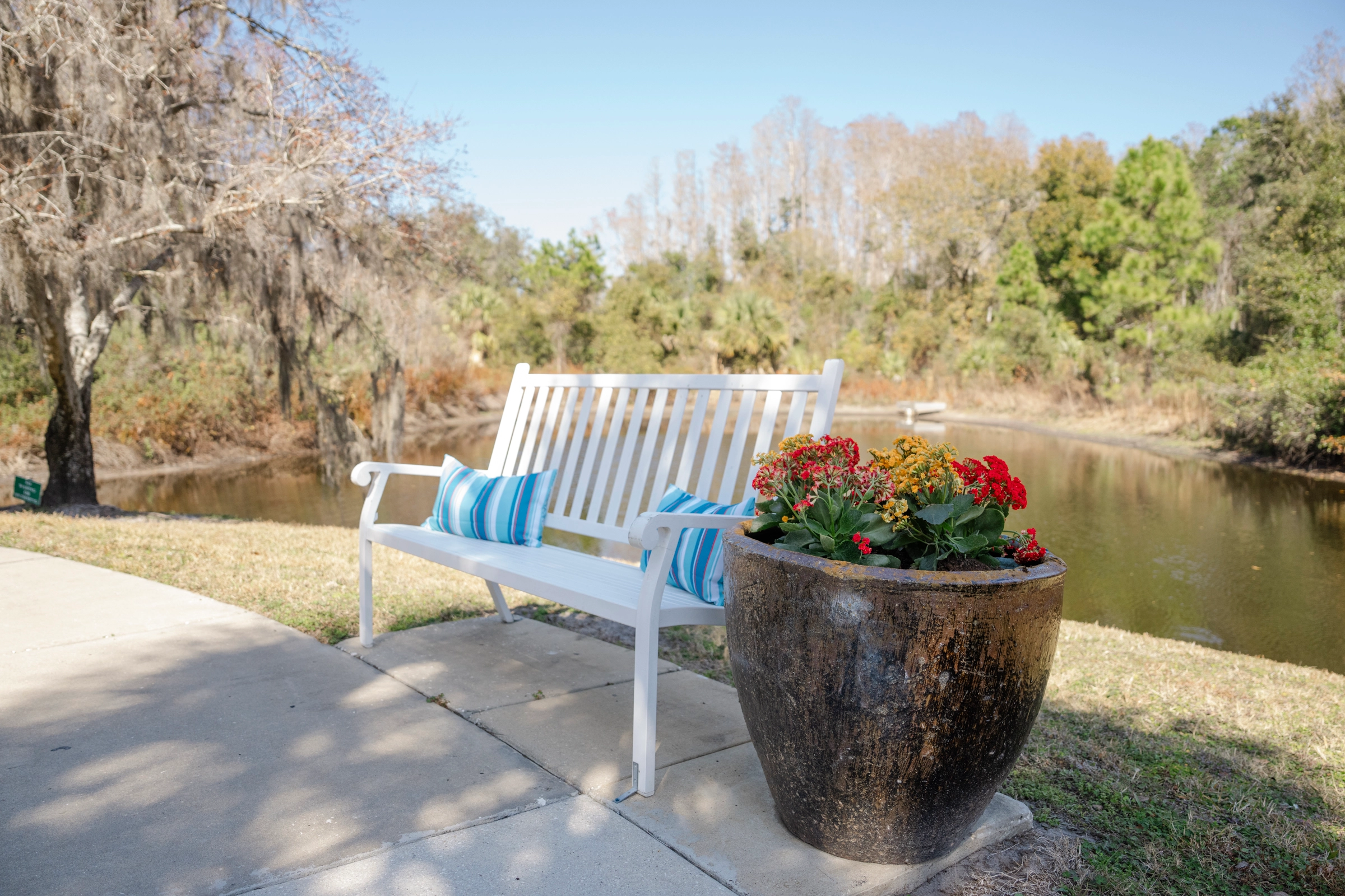 Serene outdoor path lined with trees and greenery